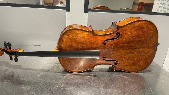 Zaplenjena dva violončela